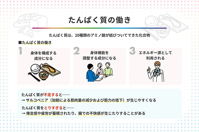 たんぱく質の働きは? 不足・過剰によるリスクや摂取の基本知識も紹介