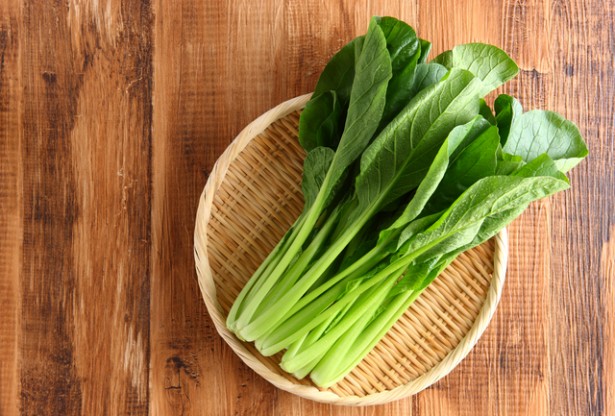 なぜ人気!? 出荷量が年々増える栄養満点の野菜「こまつな」の魅力とは | NewsWalker