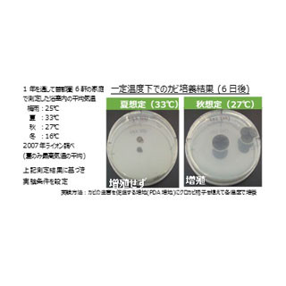 秋の方が増殖しやすい!? カビ対策として知っておきたいこととは | マイナビニュース