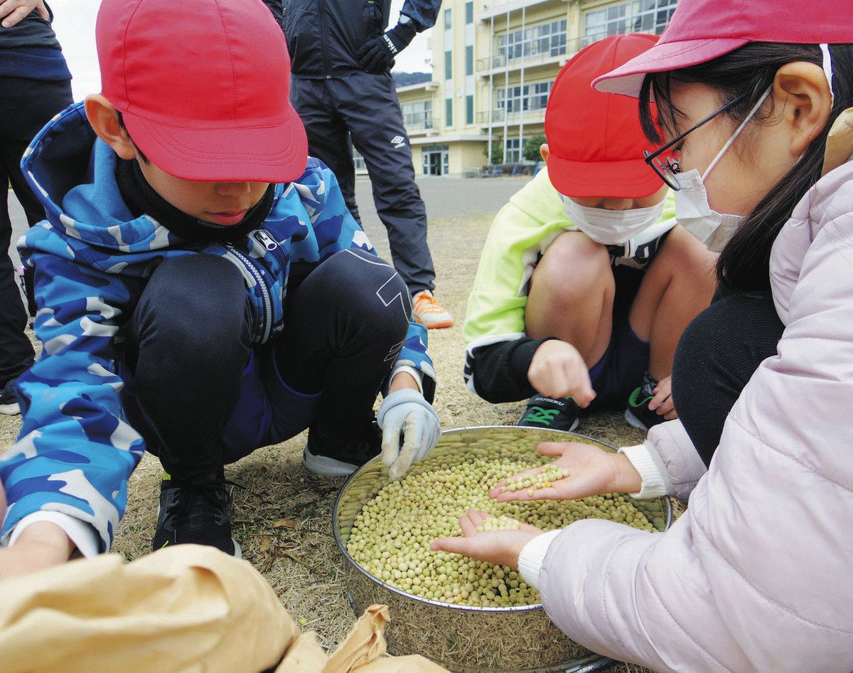 ＜つながる広がる 地域の食＞（下）農を伝える　授業で育て、食べ　芽吹く好奇心：東京新聞 TOKYO Web