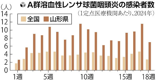 激しい痛みで手足が壊死、「人食いバクテリア」と呼ばれる「劇症型」溶連菌で死亡事例も…山形で感染高止まり | ヨミドクター(読売新聞)