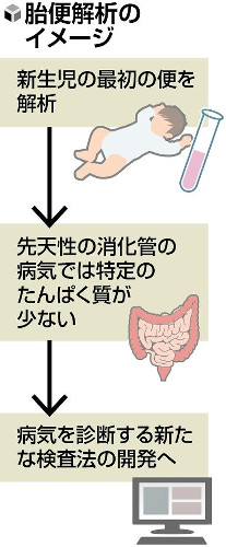 生後初の便、消化管や心臓の病気の診断に活用期待…たんぱく質の種類や量に違い | ヨミドクター(読売新聞)