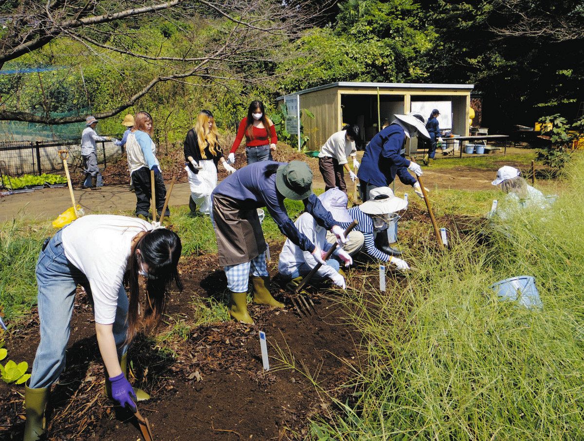 <つながる広がる 地域の食 有機必修30年>(上)恵泉女学園大の実践 草も虫も…関わりの中で育む:東京新聞 TOKYO Web