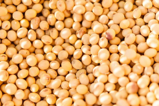 【国産大豆の動向】令和6年産集荷は前年産比3.8%増の20.2万t見込みに | 食品産業新聞社ニュースWEB