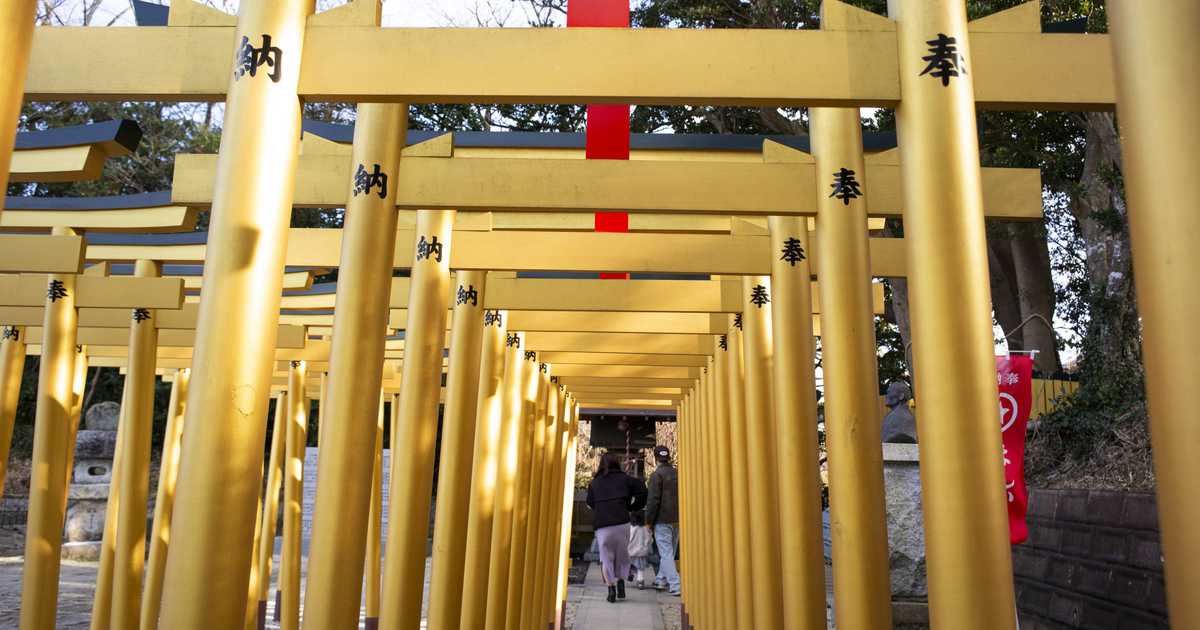 「農家の保存食」干し芋が人気商品に 希少な丸干しは品薄状態  いばらき農業探訪 - イザ!