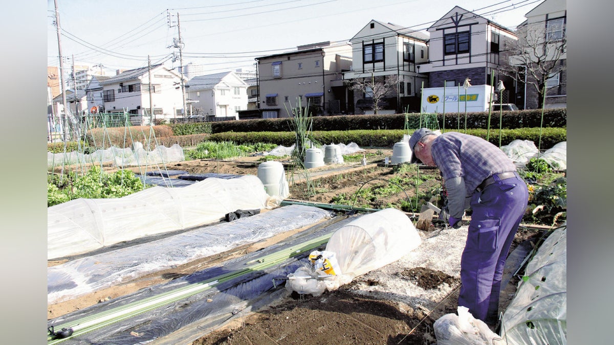 都内で「市民向け農園」増加、幅広い層に浸透…食育に関心持つ保護者や食材費節約したい若年層も利用 : 読売新聞