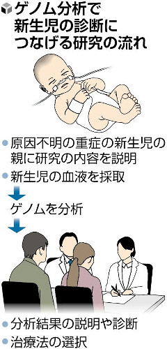 原因不明の重症新生児、ゲノム分析で適切な診断・治療を…AMEDが拠点を増やし体制強化へ | ヨミドクター(読売新聞)