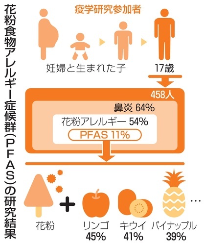 １１％が花粉食物アレルギー　リンゴ、キウイ、パイン…|47NEWS（よんななニュース）