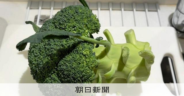 管理栄養士が教える　栄養素を無駄にしない、ブロッコリーの食べ方：朝日新聞