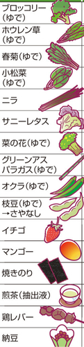 妊婦の葉酸不足、子供に肥満リスク…血中濃度が低いほど肝臓や筋肉に脂肪 | ヨミドクター(読売新聞)