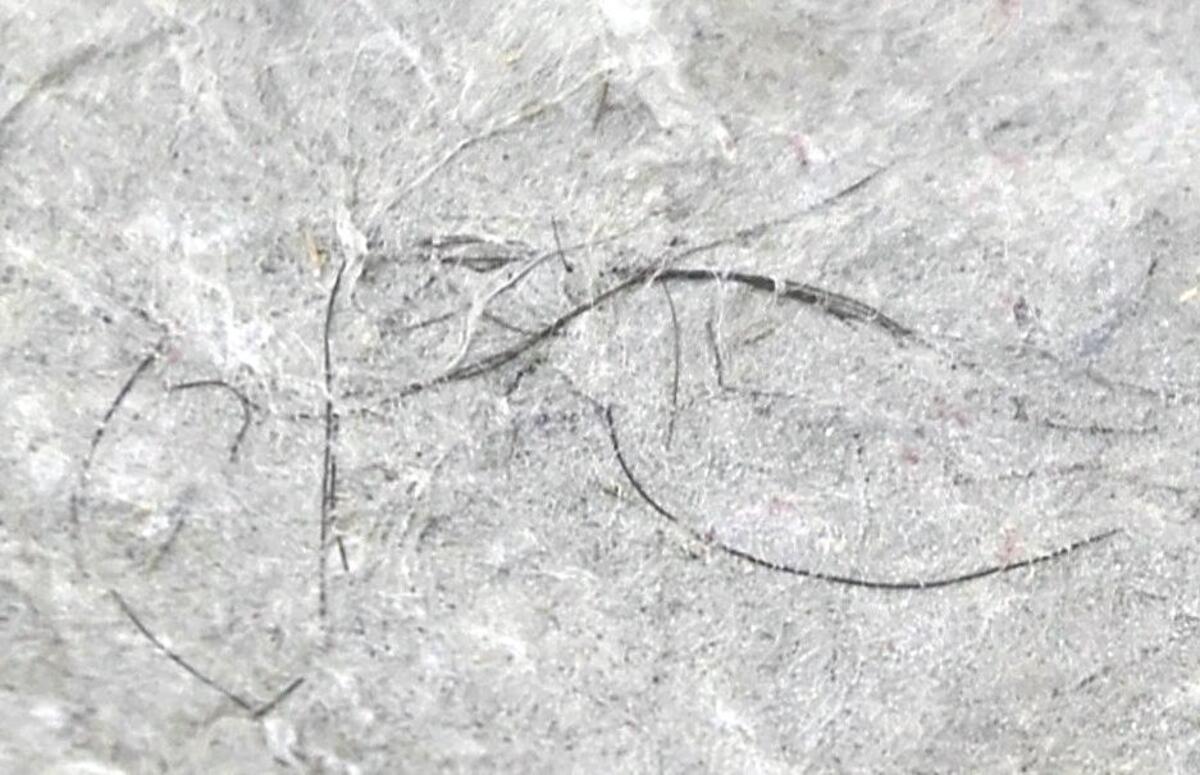 江戸時代の食生活は現代よりミネラル豊富、和紙に埋まった毛髪から分析…識者「玄米食から白米食へいつどのように変化したか推測できる」 | ヨミドクター(読売新聞)