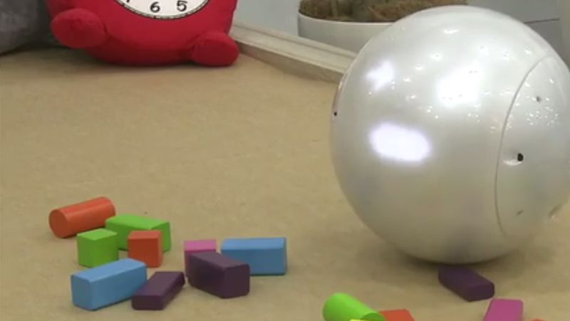 しつけや栄養管理をAIロボットが行う時代へ | 日テレNEWS24 | 東洋経済オンライン | 経済ニュースの新基準