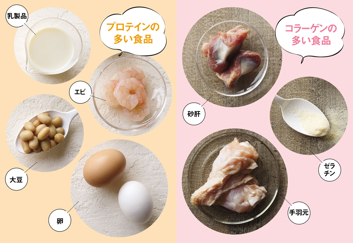 ガラナと葉酸茎を含むコラーゲンリーフレット