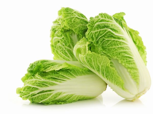 保存法と栄養もチェック！おいしいハクサイの見分け方【野菜ガイド】  –  マイナビ農業