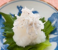 ビューティーフードアドバイザーが大根の食べ合わせ紹介　栄養的にしらすとはNG｜ニフティニュース