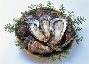 生食用と加熱用、どこが違うの？ 牡蠣にあたらない方法 | マイナビニュース