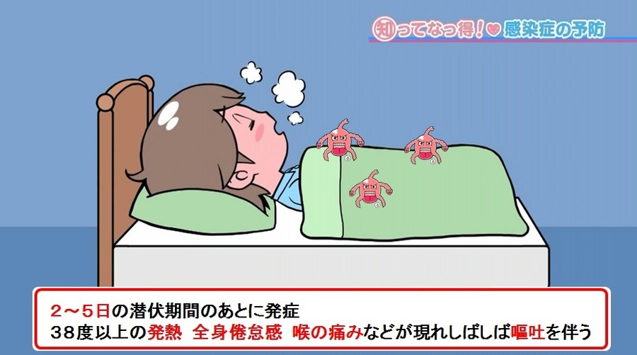 溶連菌感染症　症状は発熱やのどの痛み　春から初夏の流行に注意 （感染症・予防接種ナビ） - Yahoo!ニュース