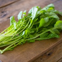 乾燥のニュース - 栄養士が教える!肌のゆらぎを感じたら食べたい春野菜3選 - 最新ボディケアニュース一覧 - 楽天WOMAN