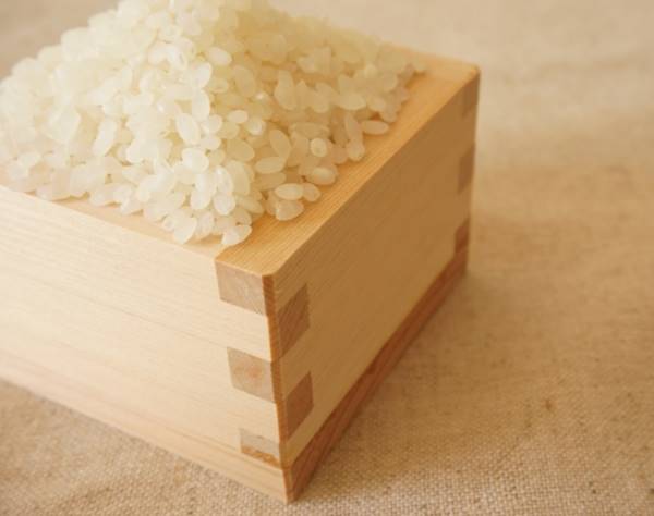 生活習慣のニュース - 炭水化物はお米やそばに！患者増加する「SIBO」防ぐ生活習慣 - 最新ボディケアニュース一覧 - 楽天WOMAN