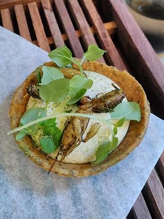 広がるか昆虫食＝栄養たっぷり「スーパーフード」－欧州：時事ドットコム