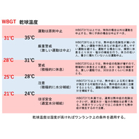 夏のスポーツで怖い熱中症　命を守るために知っておくべきこと : yomiDr. / ヨミドクター（読売新聞）