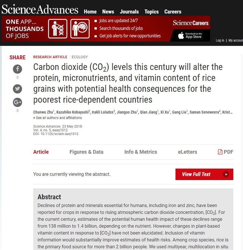 ＜地球温暖化＞ＣＯ２増加でコメの栄養減　６億人に影響も｜BIGLOBEニュース