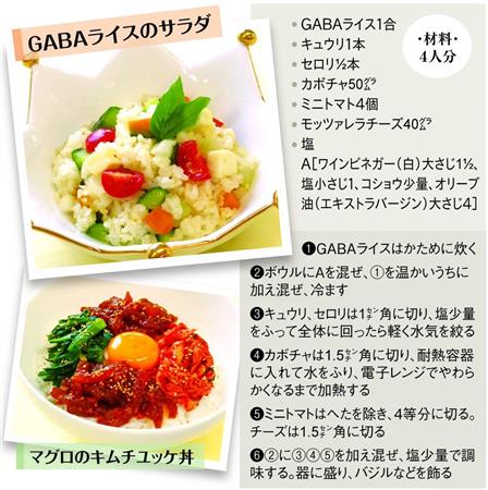 猛暑ストレス、ＧＡＢＡ入り食品を食べて解消(産経新聞) - goo ニュース