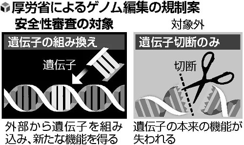 ゲノム編集食品「遺伝子切断」は審査せず…厚労省調査会が了承 : yomiDr. / ヨミドクター（読売新聞）