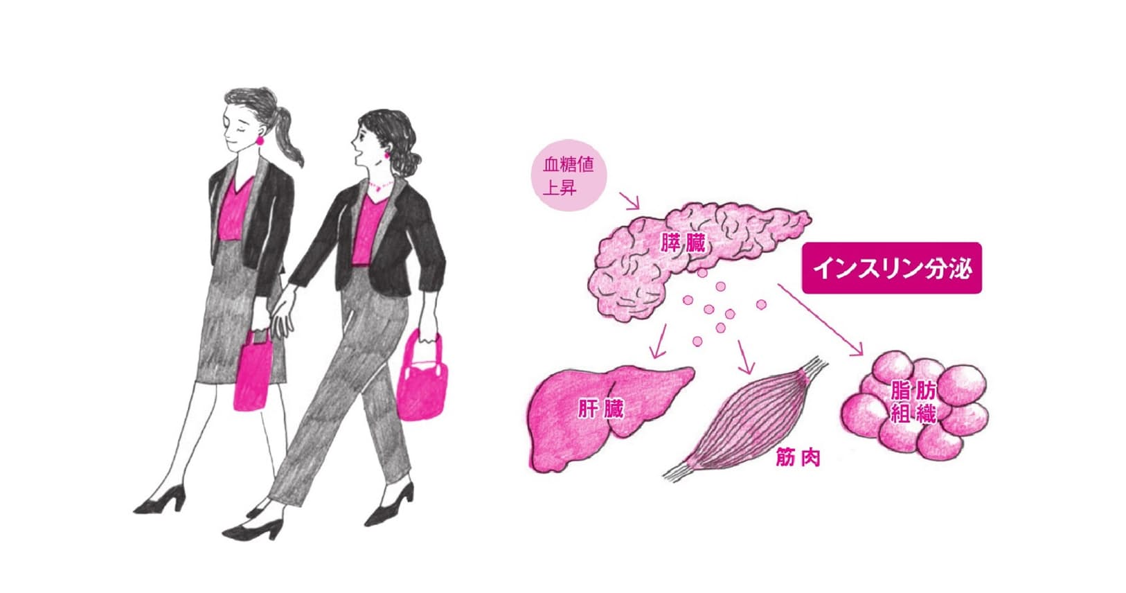 食後高血糖防ぐならやっぱり運動　早足歩きや階段歩行｜WOMAN SMART｜NIKKEI STYLE