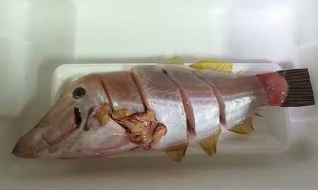 三重のスーパーで有毒魚販売か＝命の危険も｜最新ニュース｜時事メディカル
