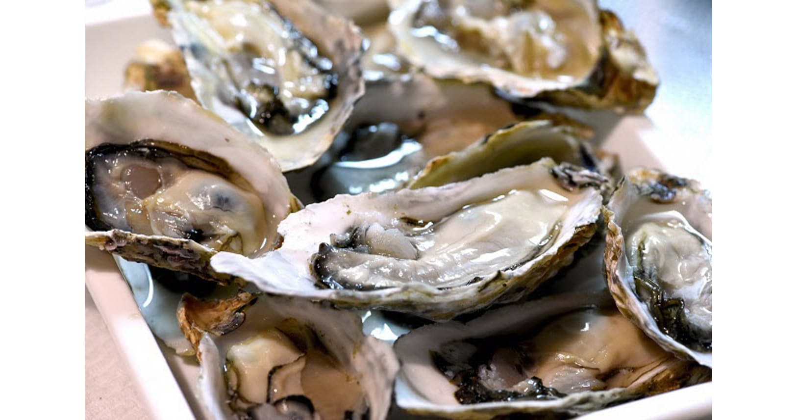 旬のカキ、どこで食べる？　脂肪減らし疲労回復効果も｜WOMAN SMART｜NIKKEI STYLE