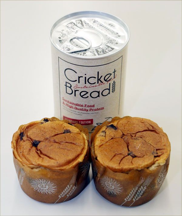 徳島大学発ベンチャーがコオロギパン発売 栄養価に優れた「昆虫食」　災害備蓄用に｜経済,健康・医療,徳島の話題｜徳島ニュース｜徳島新聞