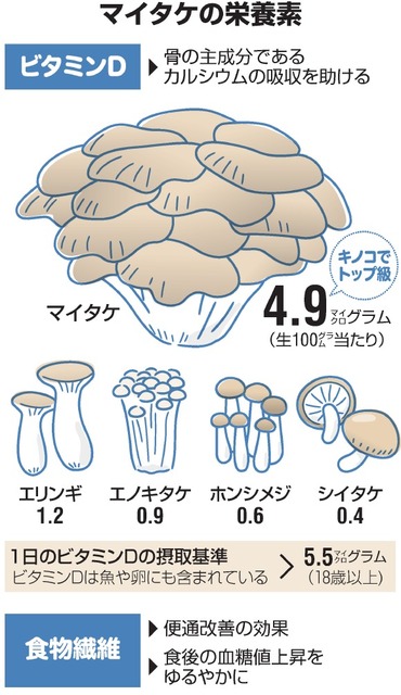 冬こそマイタケ 「まい足し」で不足しがちな栄養補って:朝日新聞デジタル