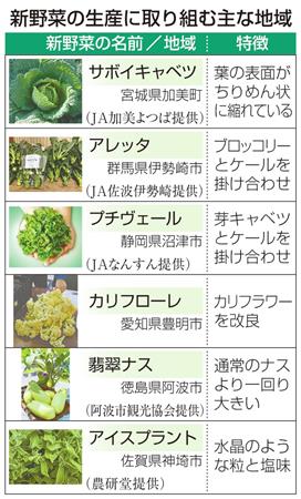 新野菜、地域で栽培活発　珍しさや栄養価ＰＲ、特産に期待  (1/2ページ) - SankeiBiz（サンケイビズ）