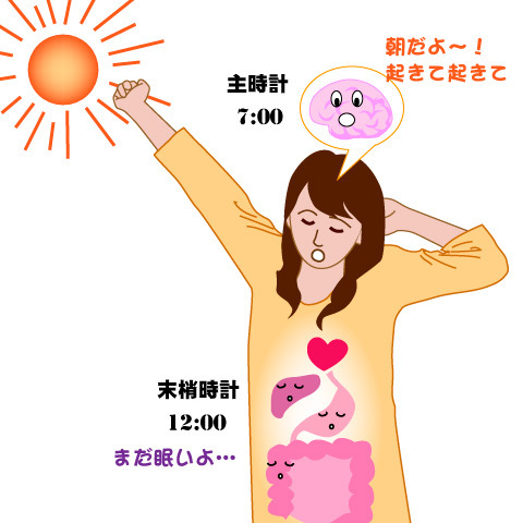 朝食抜くと「時差ボケ」に＝原因は体内時計の乱れ（時事通信） - Yahoo!ニュース
