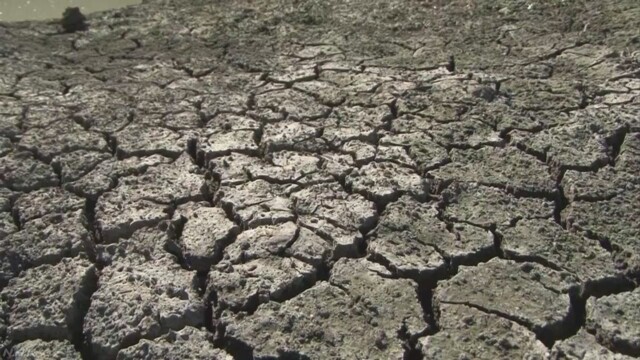 「温暖化で子どもの健康リスク拡大」研究者グループ | NHKニュース