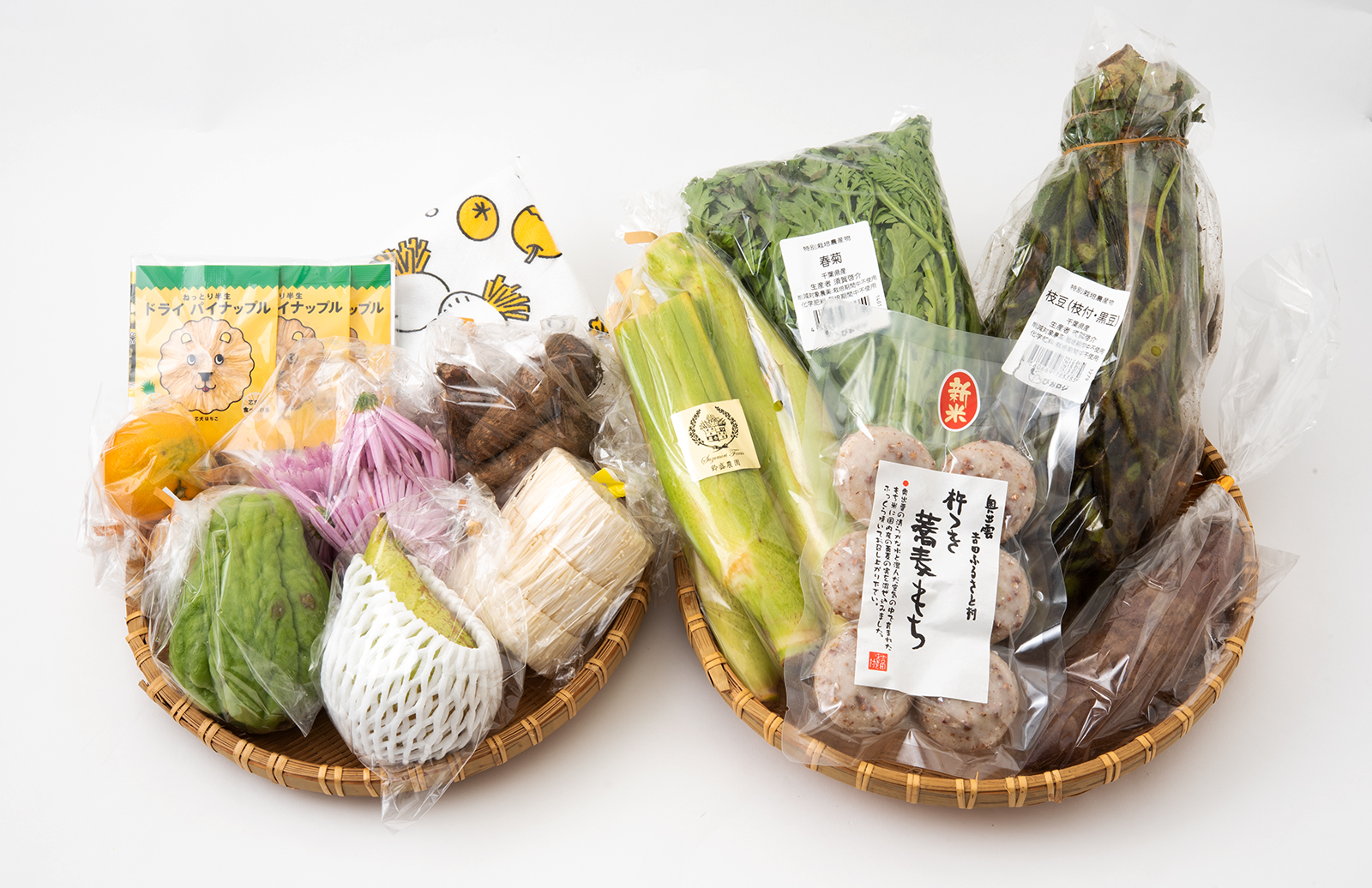全国から集めた最高の”旬”野菜をお届けする野菜定額配送サービス「ベジバルーン」を開始!!初月購入者に1,000円offキャンペーン!|㈱GAIKENのプレスリリース