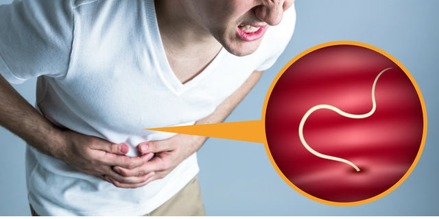 アニサキスは噛めば大丈夫 欧米も寿司ブームで寄生虫が流行中 Doctors Me ドクターズミー ニュース Eatreat