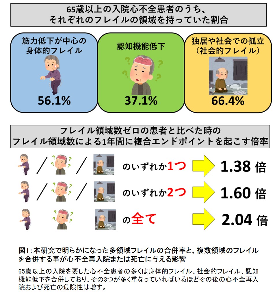 高齢心不全患者のフレイル領域の数が再入院や死亡のリスクを高める|学校法人 順天堂のプレスリリース