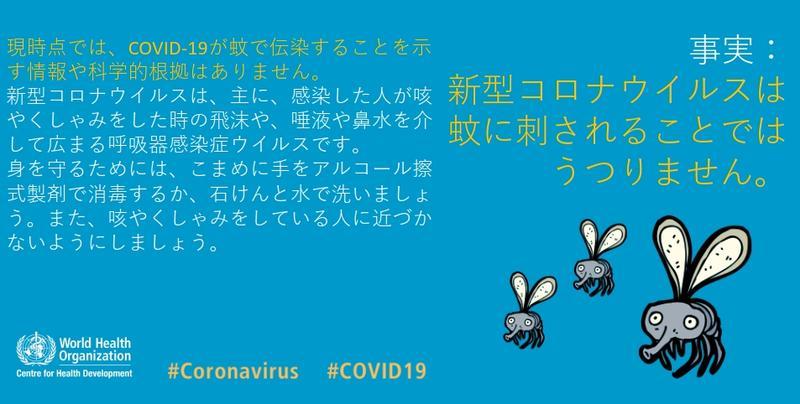 新型コロナ、蚊を介して感染せず…WHO・厚労省(リセマム) - Yahoo!ニュース