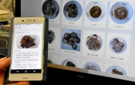 人気の給食レシピを限定公開 夏休み期間、昼食にいかが