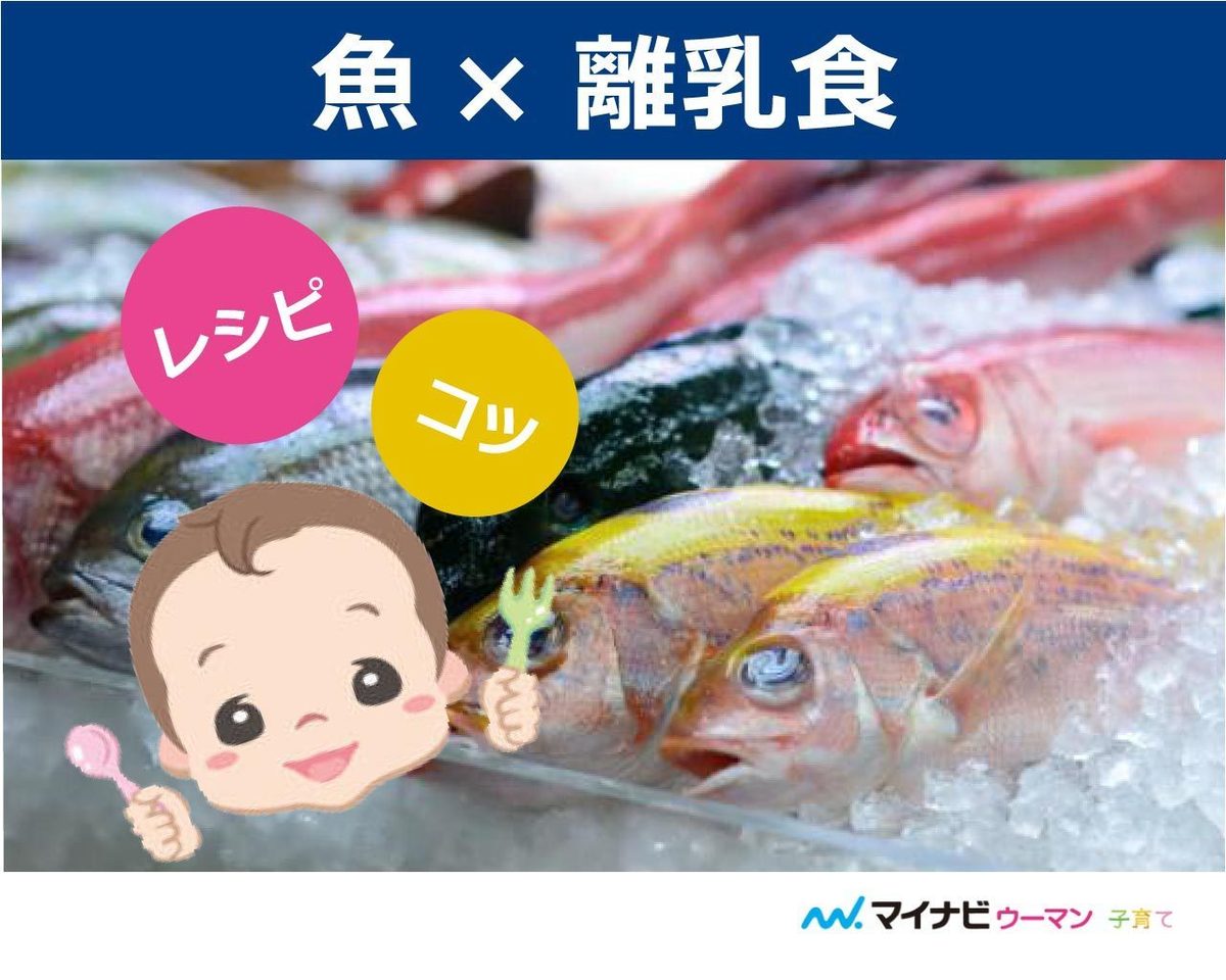 離乳食の魚はいつから 初期 中期 後期レシピ 管理栄養士監修 マイナビウーマン子育て ニュース Eatreat 離乳食の魚はいつから 初期 中期 後期レシピ 管理栄養士監修 マイナビウーマン子育て ニュース Eatreat
