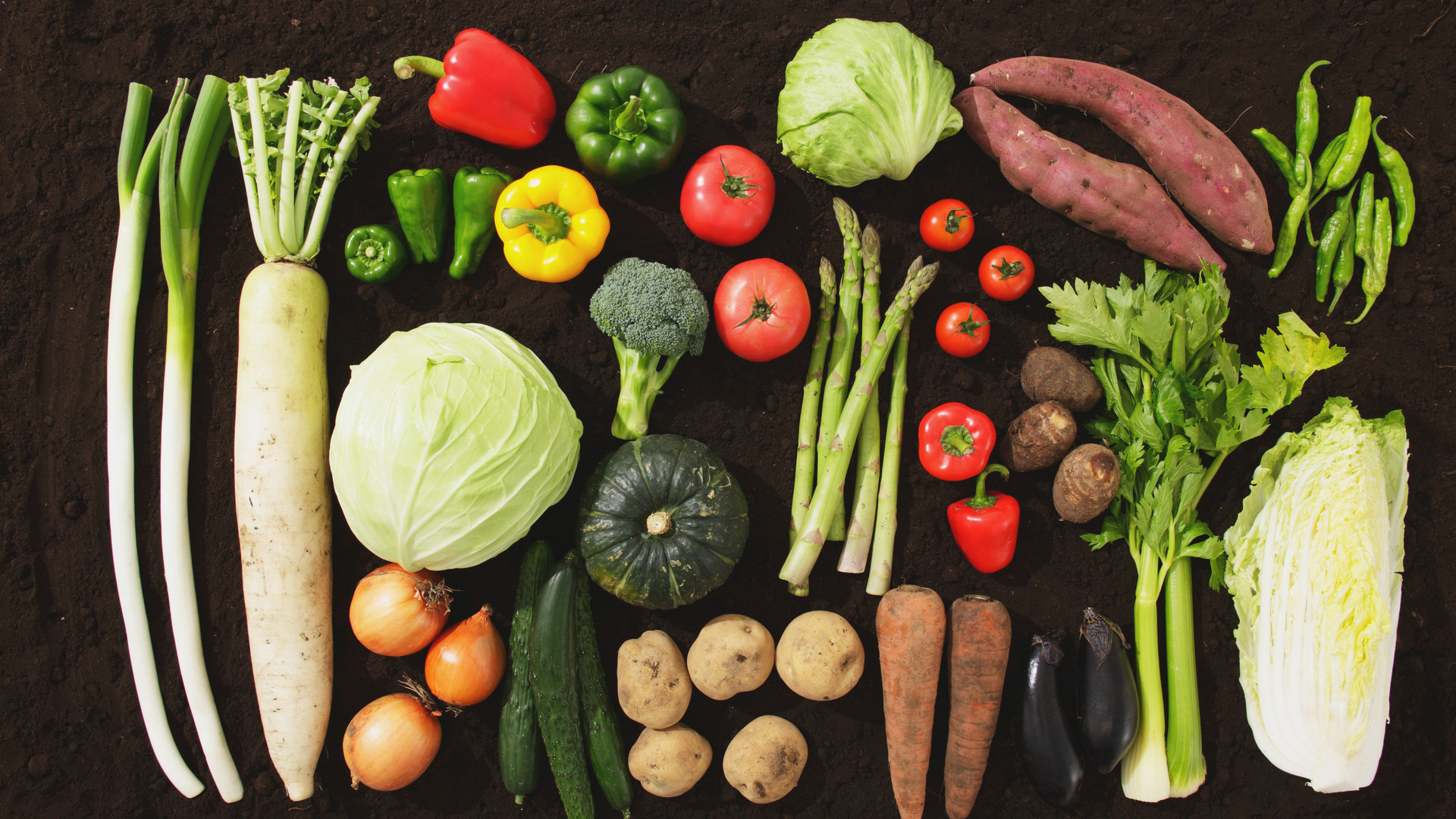 家で捨てる食材6,990名調査 納豆、豆腐、もやし、パン、キャベツ、レタス…1位は?(井出留美) - 個人 - Yahoo!ニュース