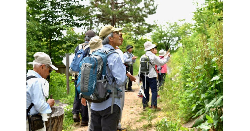 森林浴、山道歩き、温泉…　自然が病院「クアオルト」｜ヘルスＵＰ｜NIKKEI STYLE