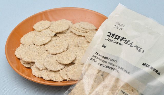 <環境視点>昆虫食、世界が注目 人口増対応 タンパク源:東京新聞 TOKYO Web