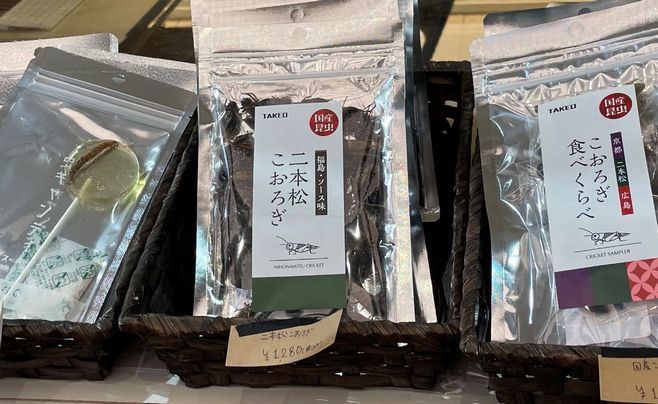 「こおろぎ食べくらべ」「タガメサイダー」「サゴワームとオオスズメバチ幼虫のバターソテー」など集結、東京駅地下「虫グルメフェスVol.0」に多彩な客層|食品産業新聞社ニュースWEB