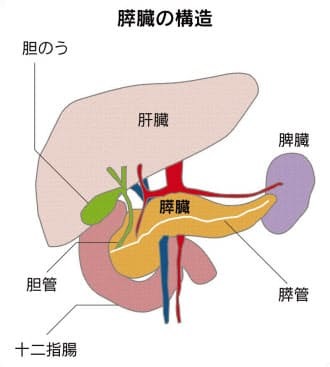 治療難しい膵がん　抗がん剤、手術に先行させて好結果