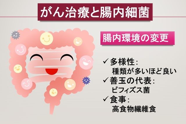 最先端のがん免疫治療、腸内細菌が薬の効きを左右する