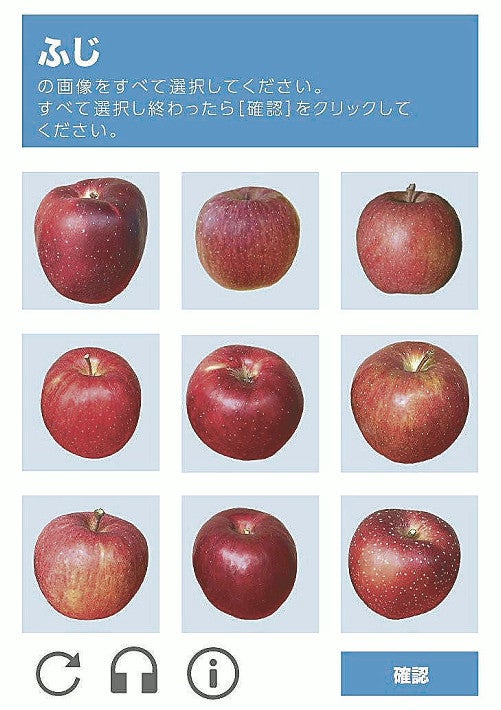 リンゴ「ふじ」この中に三つ、どれでしょう？…「難しすぎる」と悲鳴続々 : 社会 : ニュース : 読売新聞オンライン