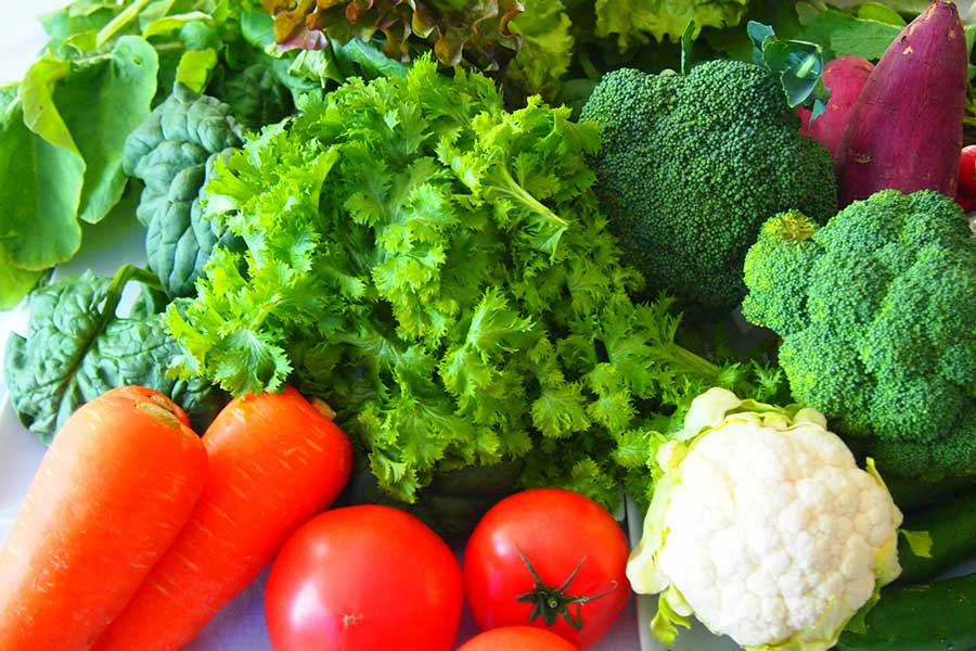 今、世界のアスリートに広がる植物性食品　栄養面から考えるメリット＆デメリットとは | THE ANSWER スポーツ文化・育成＆総合ニュースサイト